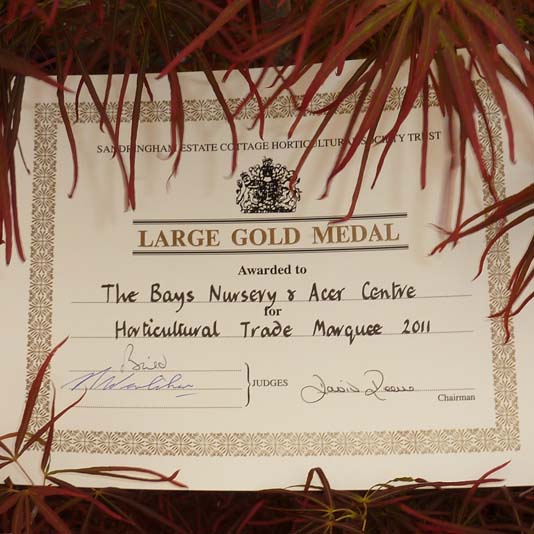 Sandringham Flower Show 2011